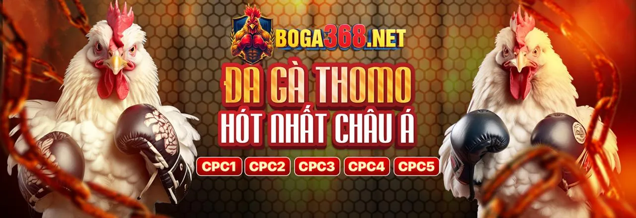 Hình ảnh chủ đề Chính sách Cookie của ek88