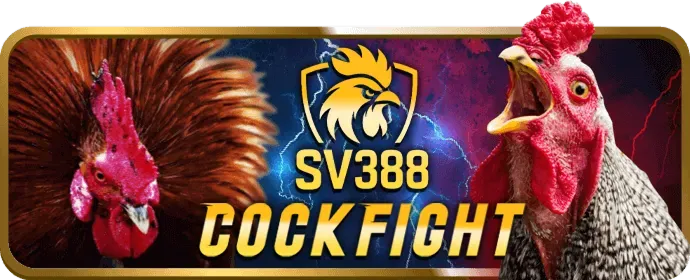 Sòng bạc trực tiếp ek88